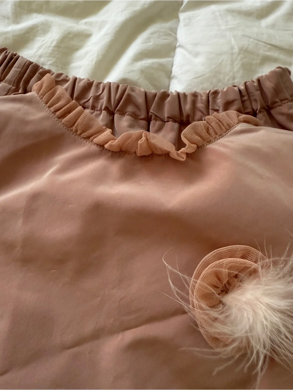 Girls' Dusty Pink Tulle Party Dress with Feather Accents